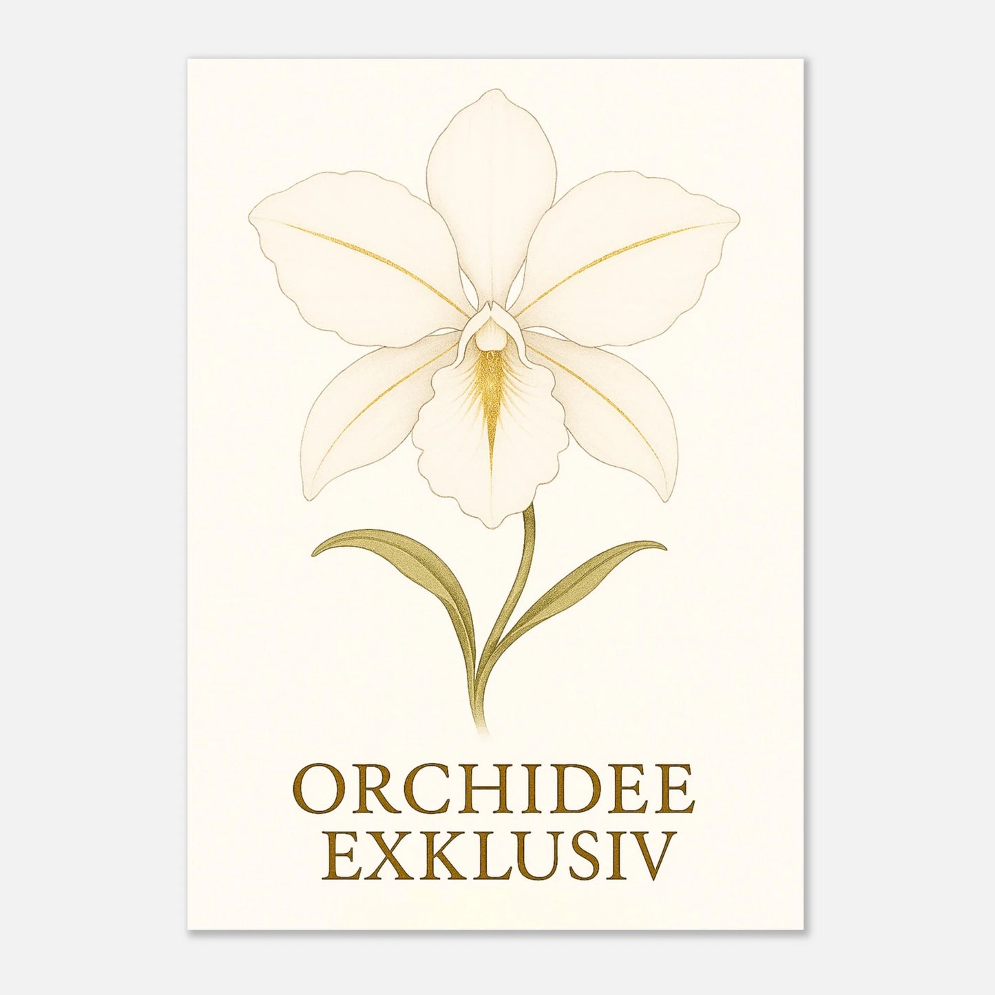Premium Poster „White Orchid“ – elegante weiße Orchideenblüte mit goldenen Akzenten, hochwertige Wanddeko ohne Rahmen.