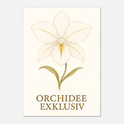 Premium Poster „White Orchid“ – elegante weiße Orchideenblüte mit goldenen Akzenten, hochwertige Wanddeko ohne Rahmen.
