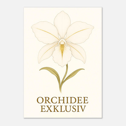 „White Orchid“ Poster – ungerahmt, elegante weiße Orchideenblüte mit goldenen Akzenten als edle Wandgestaltung.