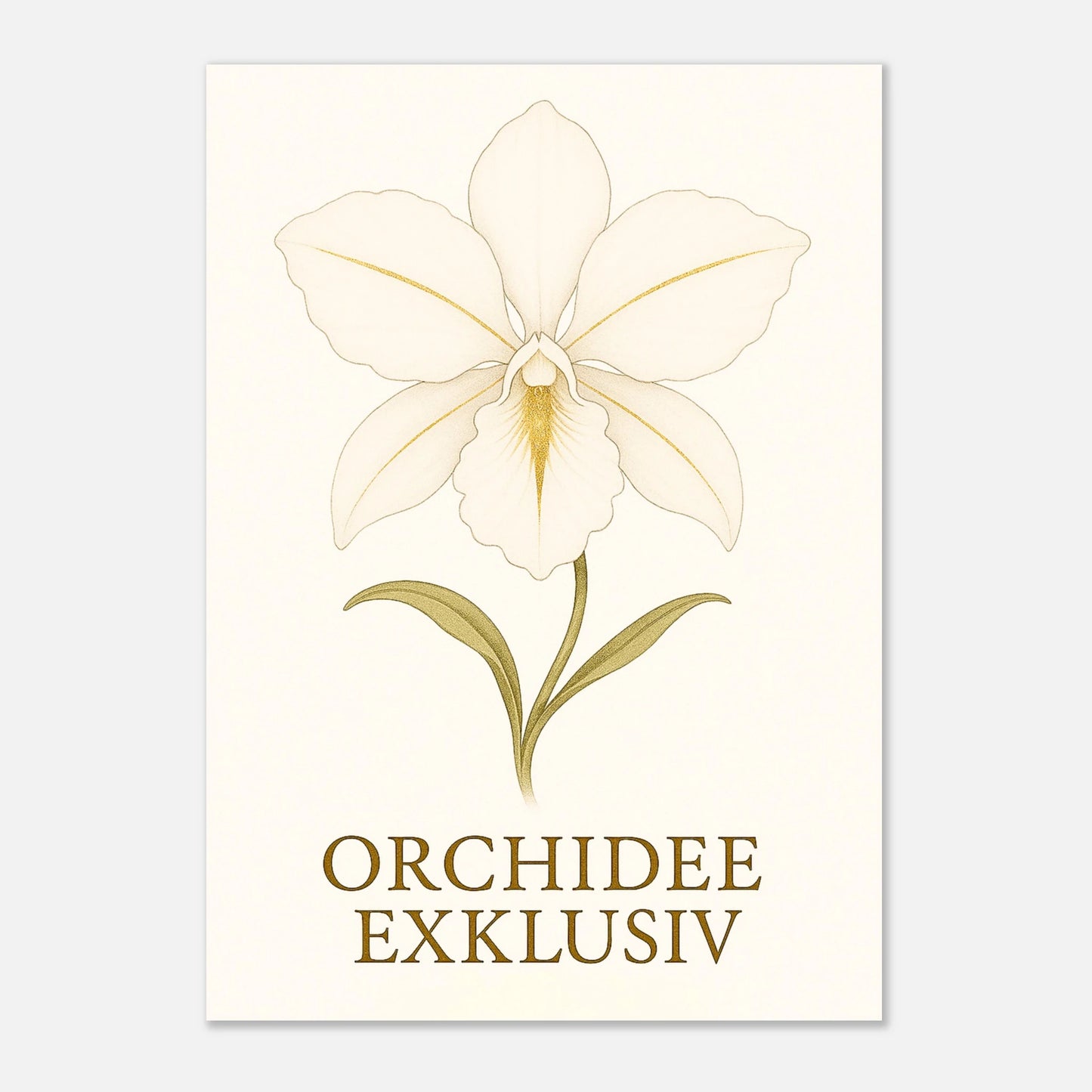  „White Orchid“ Poster – stilvolle weiße Orchidee mit goldenen Details, ungerahmt, Premium-Qualität.