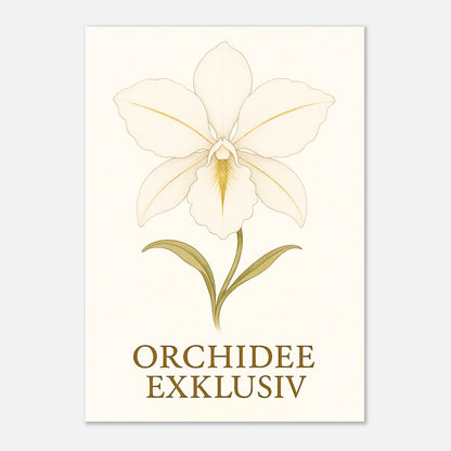  „White Orchid“ Poster – stilvolle weiße Orchidee mit goldenen Details, ungerahmt, Premium-Qualität.