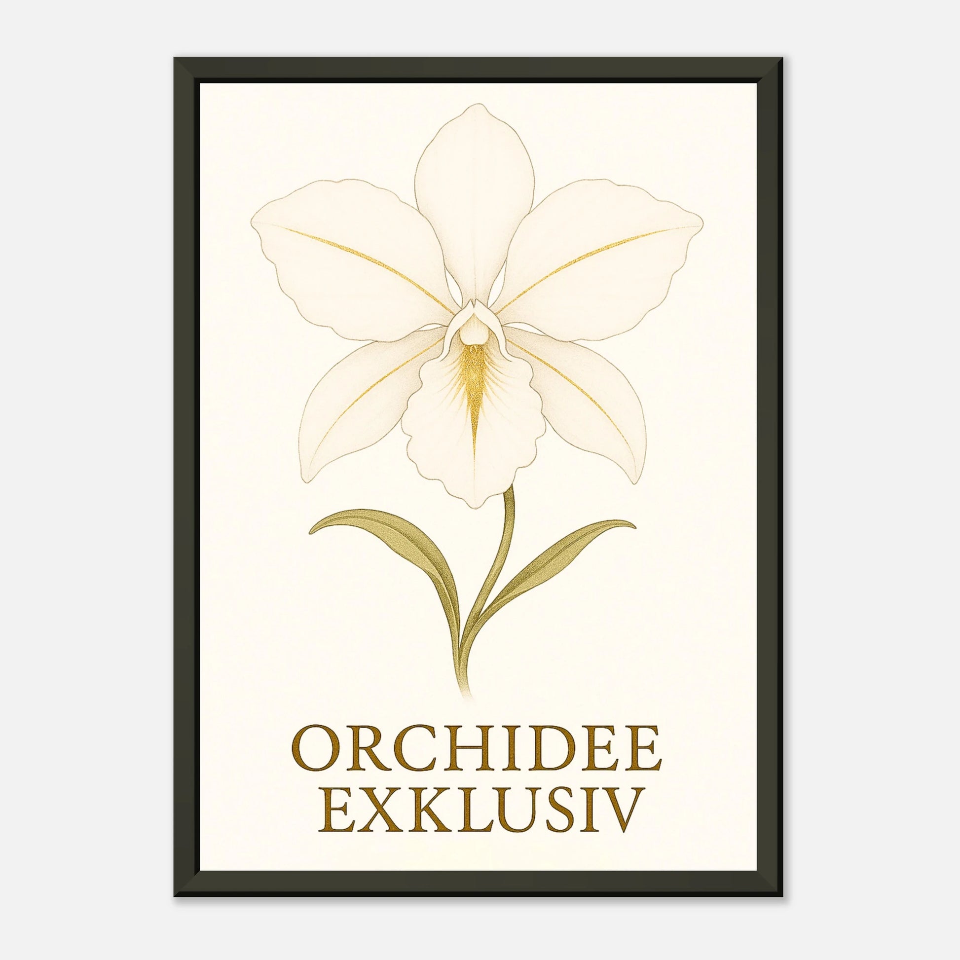 White Orchid Poster mit sanftem Lichtreflex – moderne botanische Illustration in luxuriösem schwarzen Metallrahmen.