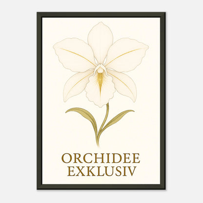White Orchid Poster mit sanftem Lichtreflex – moderne botanische Illustration in luxuriösem schwarzen Metallrahmen.