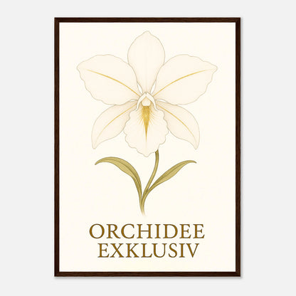 White Orchid Poster mit dunkelbraunem Holzrahmen – exklusives Orchideenbild als Wanddeko