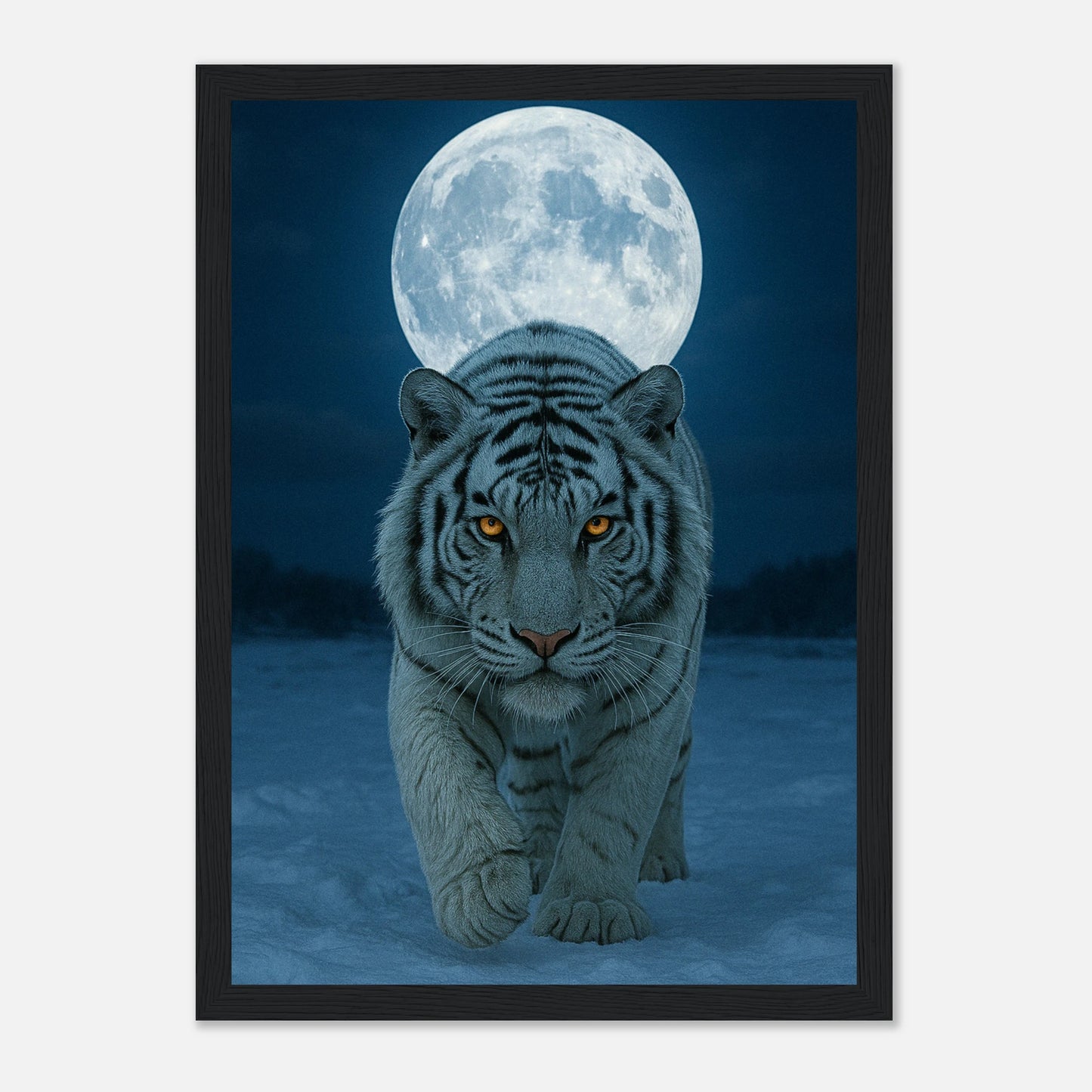 Wild Nights White Tiger Poster mit schwarzem Holzrahmen – edles Tierbild eines weißen Tigers in nächtlicher Mondlandschaft.