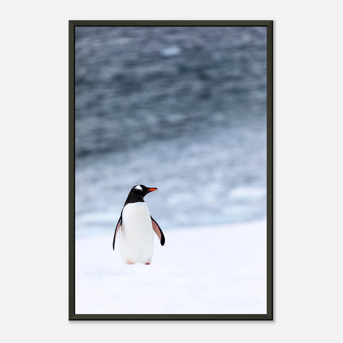Poster „Antarctic Stroll“ – ruhige Eislandschaft mit Pinguin im schwarzen Metallrahmen, stilvolle Tierkunst | DEFA Designs